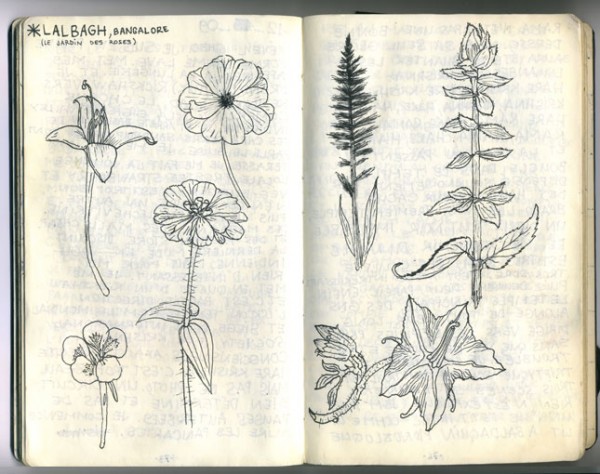 carnet6