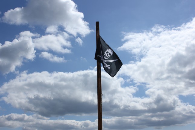 Hejorama Pirate Flag 1