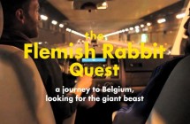 Video: The Flemish Rabbit Quest