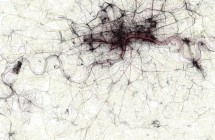 The Monday Map: The Geotaggers' World Atlas 