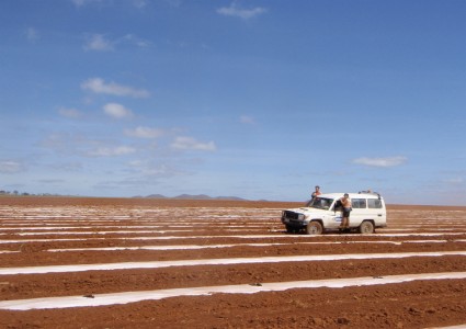 Australia Treeplanting 12