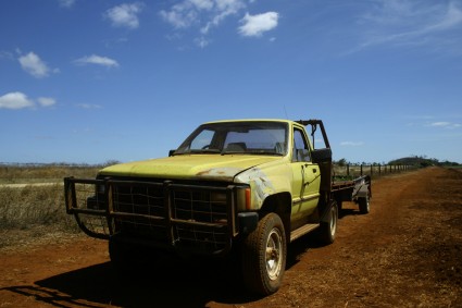 Australia Treeplanting 2