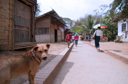 Dog Laos village