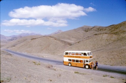 Tadpoles in Iran 1970s