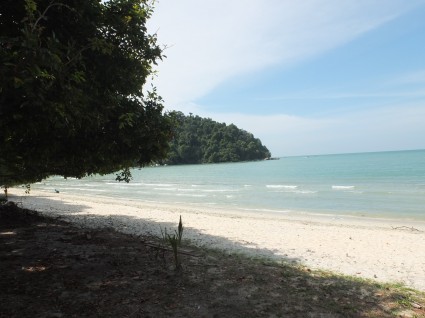 Monkey Beach - Penang