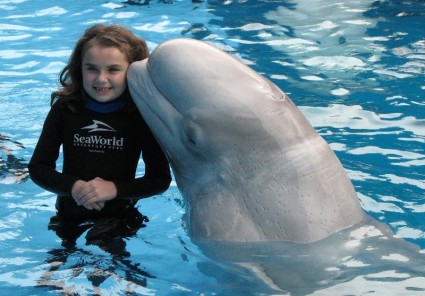 Sea World Little girl