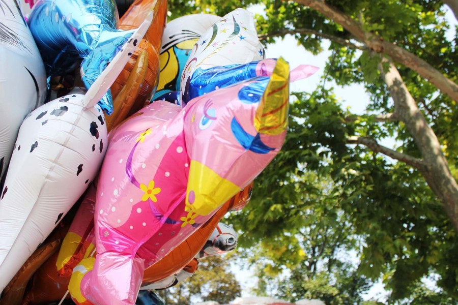 5 things to do in Vienna during summer Hejorama