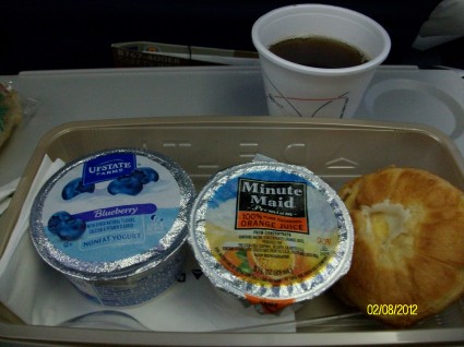 Delta Airlines food